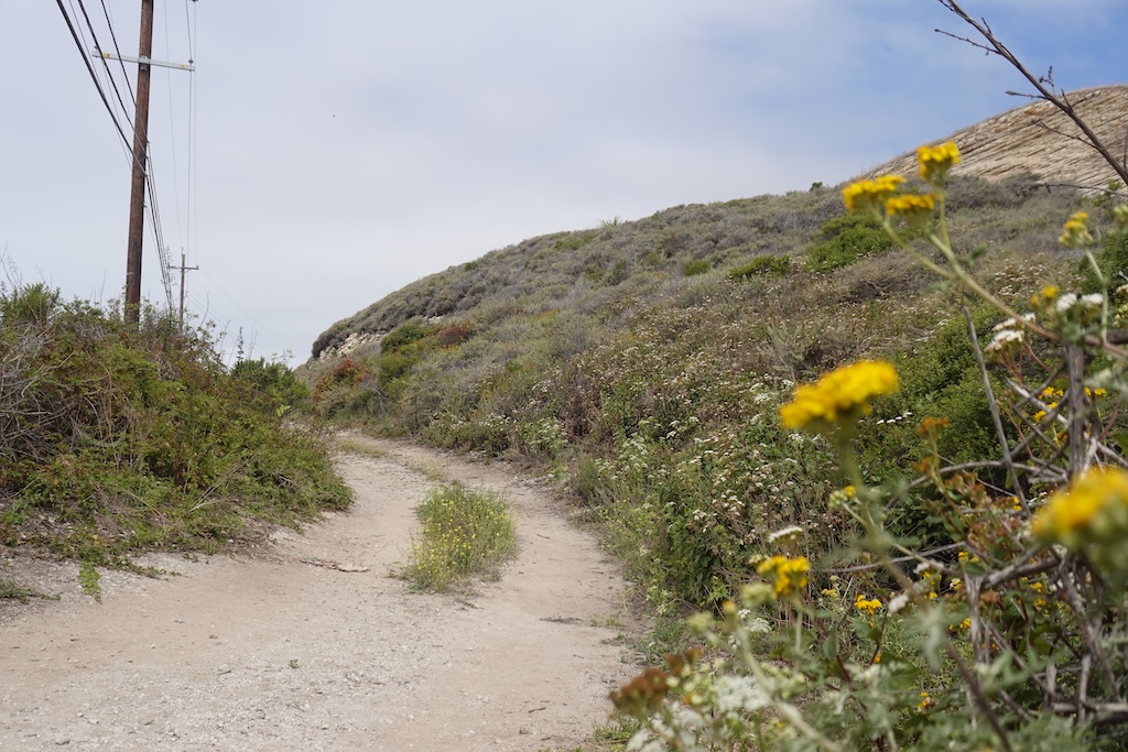 Sand Hill Bluff Trail