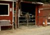 barn