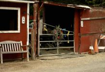 barn