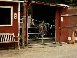 Stable denies being under County investigation barn