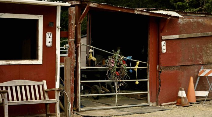 Stable denies being under County investigation barn