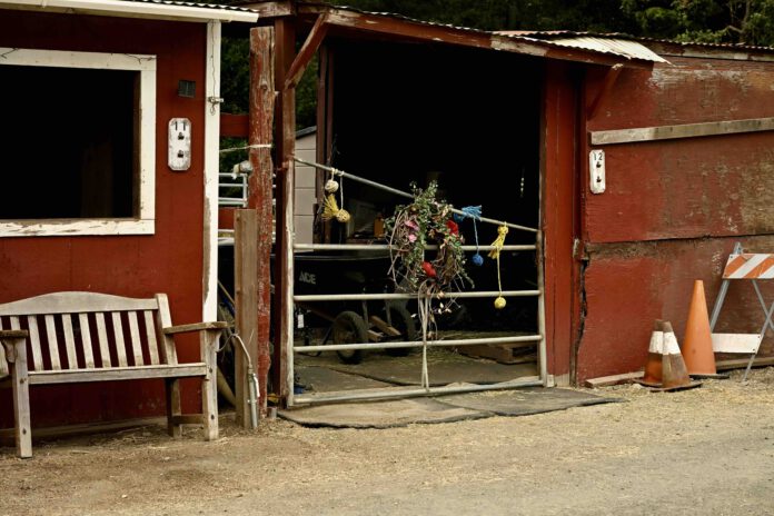 Barn barn