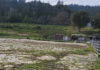 Investigation into Bear Creek Stables kept hidden due to ‘technical problem’ bear creek stables arena overgrown