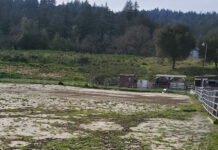 Investigation into Bear Creek Stables kept hidden due to ‘technical problem’ bear creek stables arena overgrown