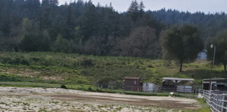 bear creek stables arena overgrown
