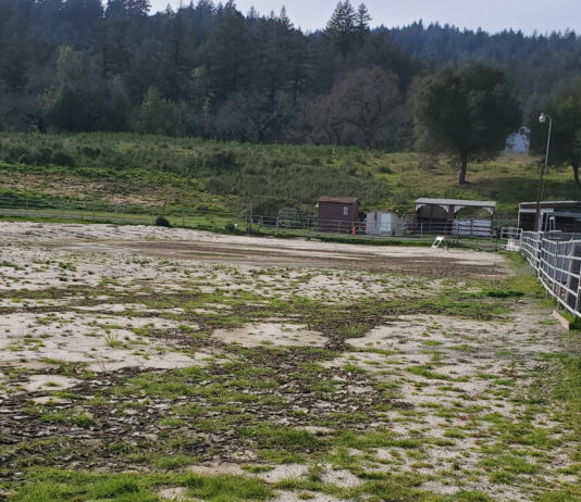 bear creek stables arena overgrown