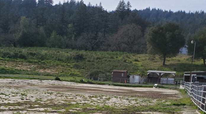 bear creek stables arena overgrown