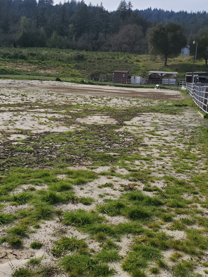 bear creek stables arena overgrown