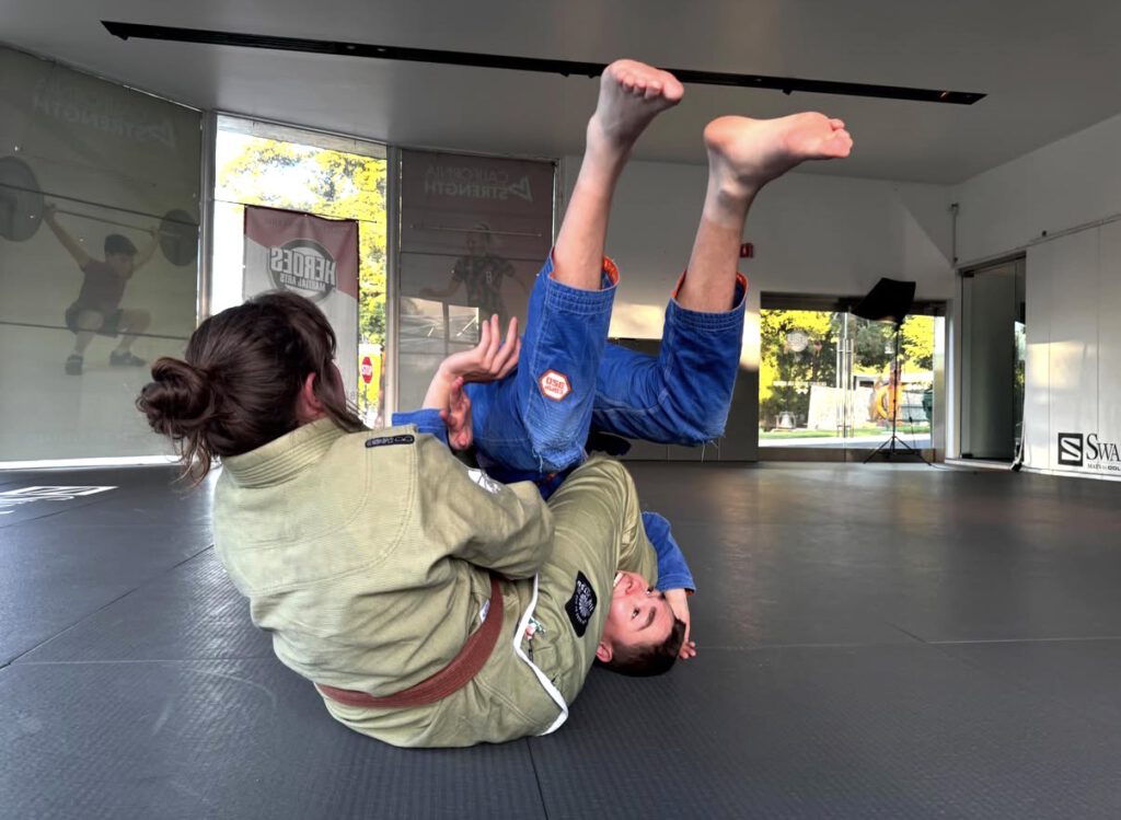 martial arts flip