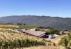 Touring Summit Monte Bello by electric ATV agricultural