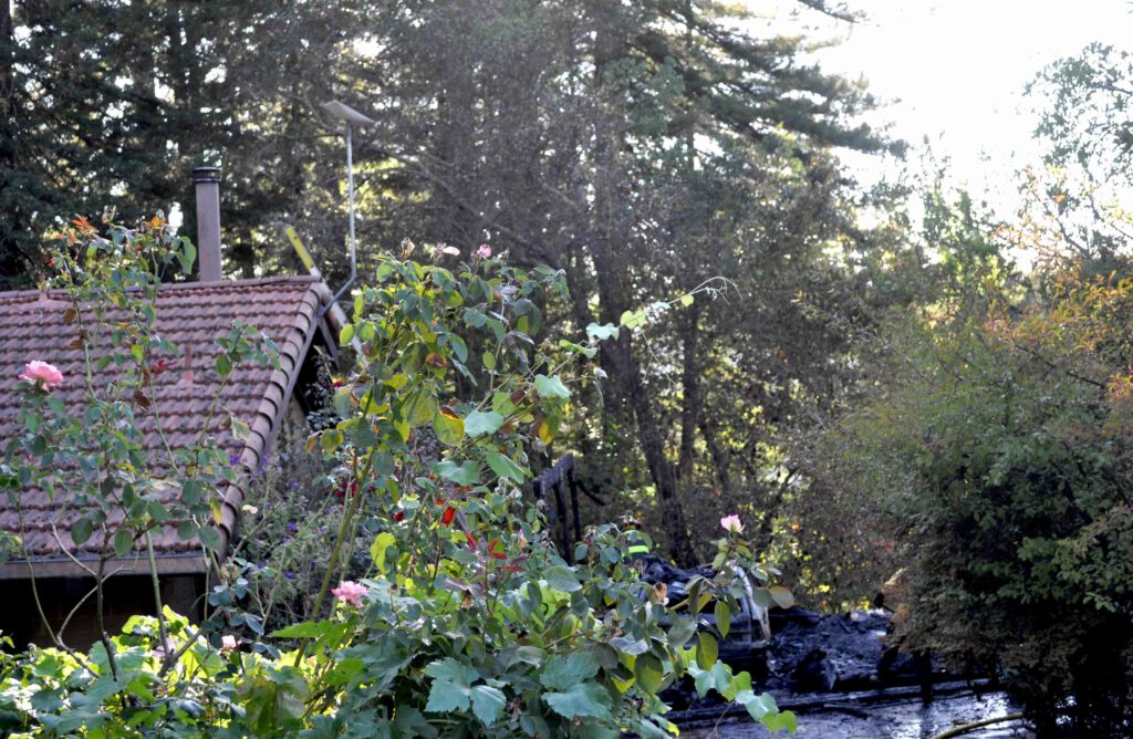 Starlink system in the Santa Cruz Mountains