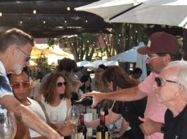 Wineries aim to overcome sales slump, Canadian cold shoulder with new approach to funding marketing pouring wine on the patio under the redwoods