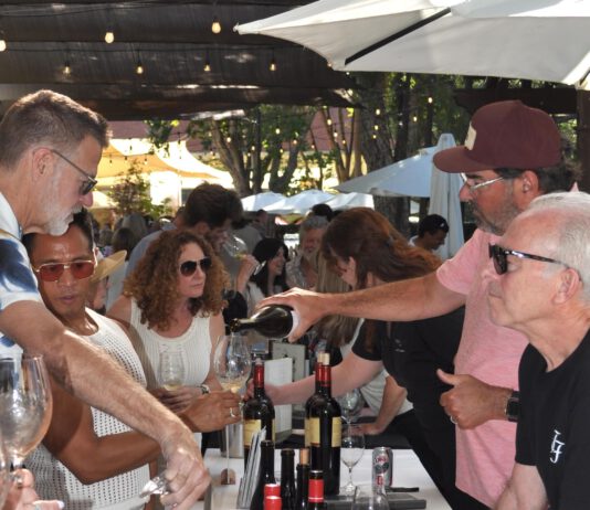 Wineries aim to overcome sales slump, Canadian cold shoulder with new approach to funding marketing pouring wine on the patio under the redwoods