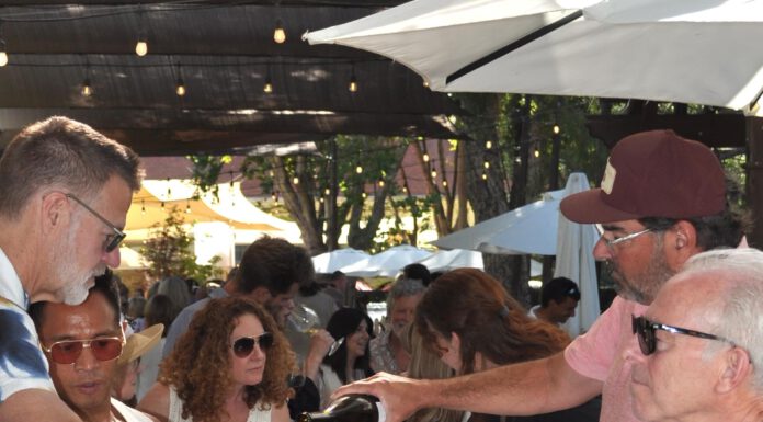 Wineries aim to overcome sales slump, Canadian cold shoulder with new approach to funding marketing pouring wine on the patio under the redwoods