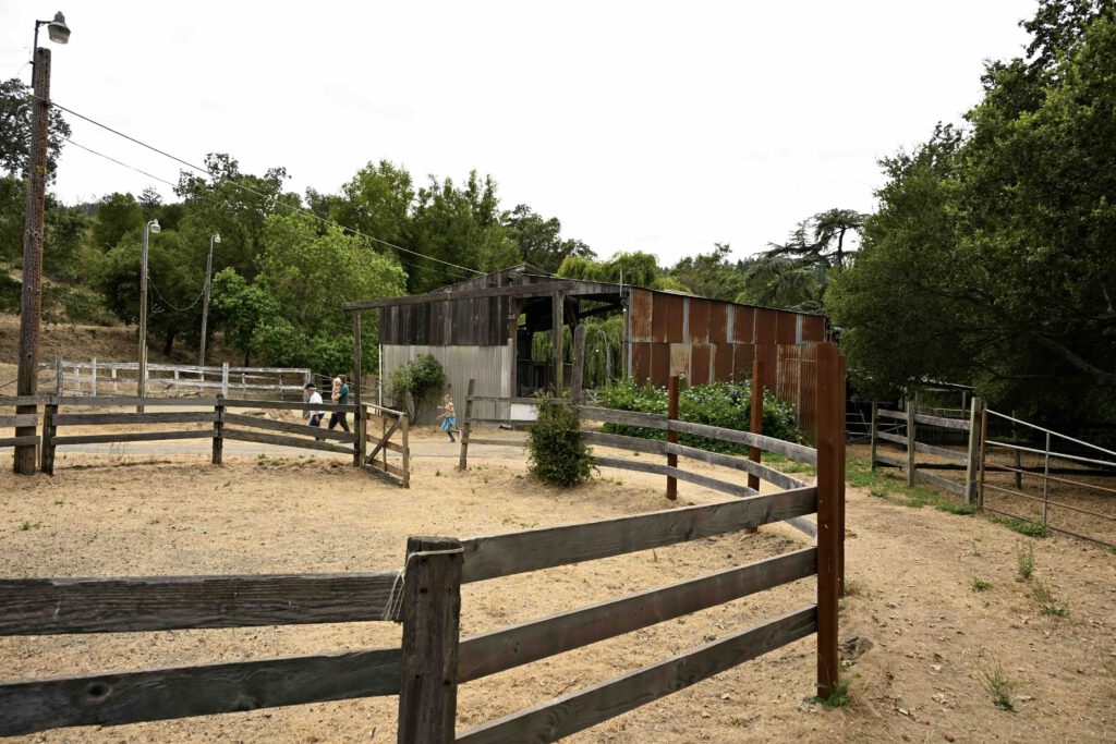 wooden fence