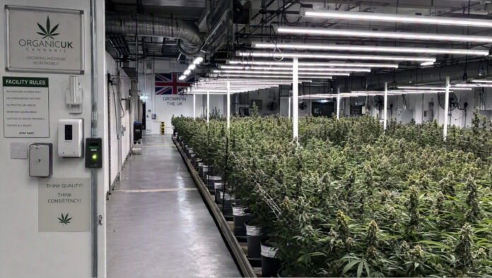best online dispensaries in the UK