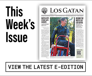 los gatan e-edition