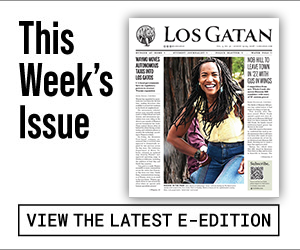 los gatan e-edition