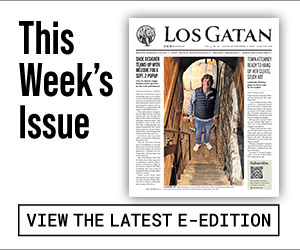 los gatan e-edition