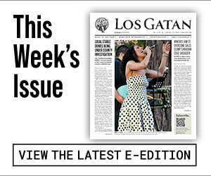 los gatan e-edition