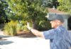 Los Gatos mosque debate referenced in US Supreme Court case Al Daryan