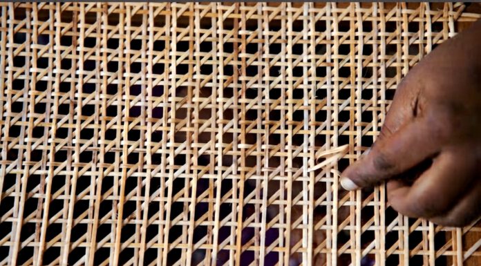 cane weaving