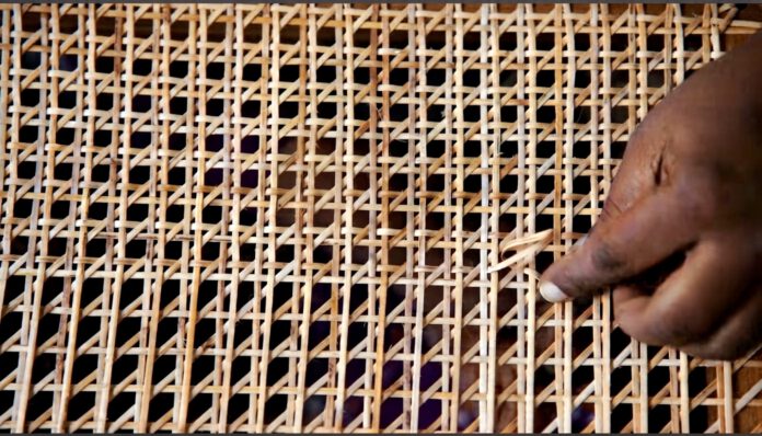 Cane Weaving for web cane weaving