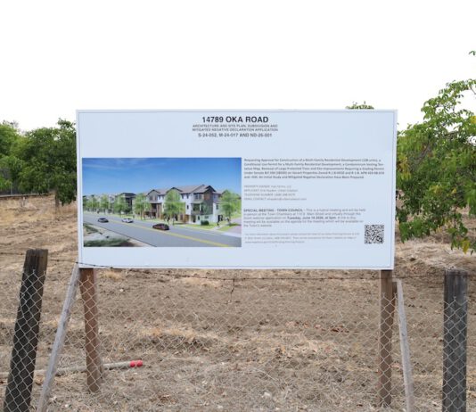 Council approves 138 townhouses on Oka Road, 28 designated as low-income; 12-homes plan for Twin Oaks Drive tabled development rendering