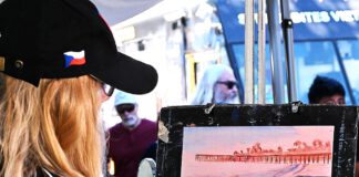 live painting
