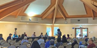 public comment