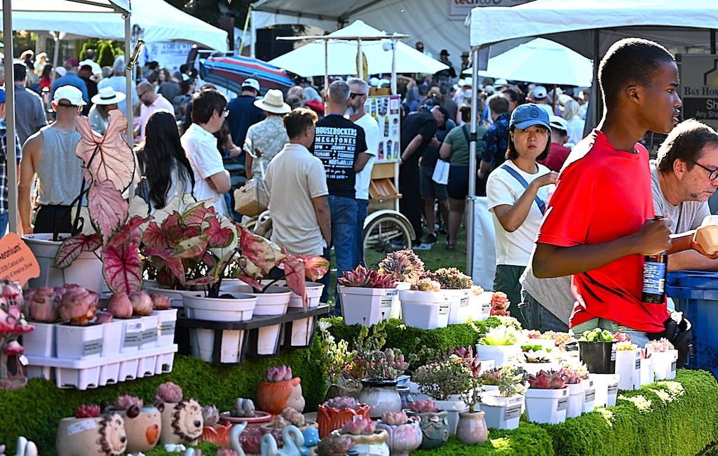 art and wine fest scene