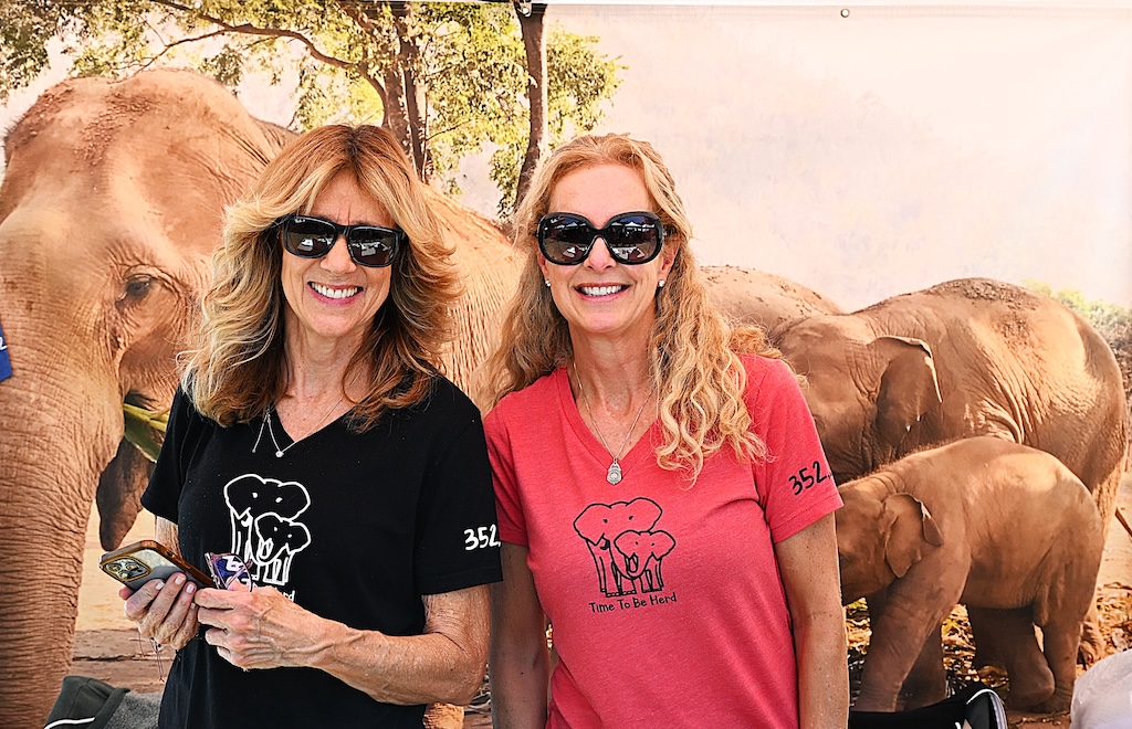 elephants in focus at booth