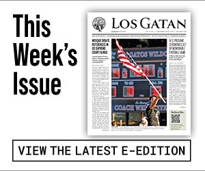 los gatan e-edition