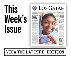 los gatan e-edition