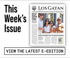 los gatan e-edition