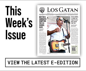 los gatan e-edition