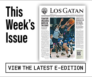los gatan e-edition