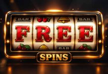 Best No-Deposit Bonus Casinos: New Sites Offering Free Spins No-deposit bonus casinos