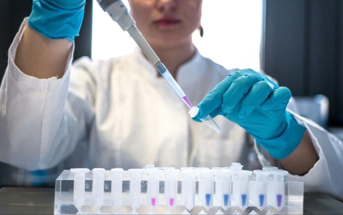 Syn-Coll Peptide Syn-Coll Peptide