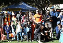 The Los Gatos Halloween Harvest x Kid & Pet PAWlooza got locals and their animals in the seasonal mood Costumed crowd before Halloween