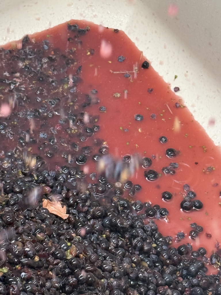 in the fermenter
