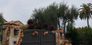 Monte Sereno home with Halloween decorations