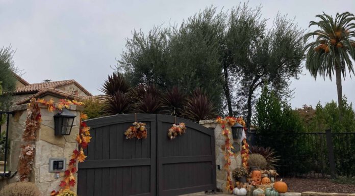Monte Sereno home with Halloween decorations