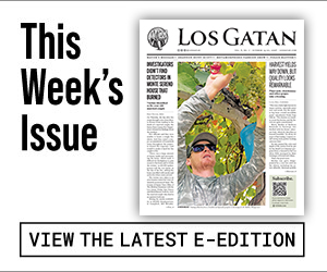 los gatan e-edition