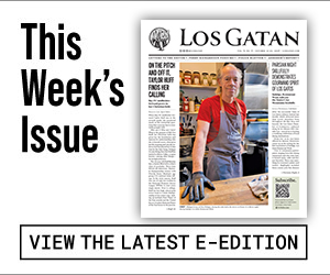 los gatan e-edition