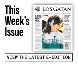los gatan e-edition