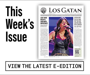 los gatan e-edition